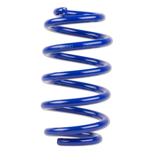 AP Lowering Springs BMW FS20-150 - Image 2