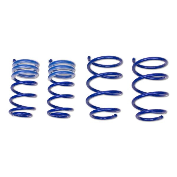 AP Lowering Springs BMW FS20-150 - Image 4