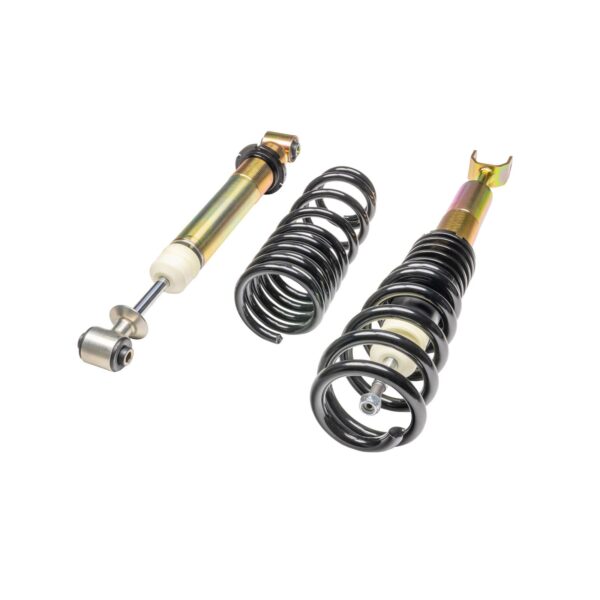DTS SX Coilover Audi 299100030 - Image 2