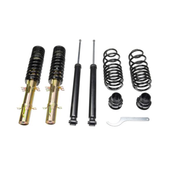 DTS SX Coilover Audi Seat VW 299100160