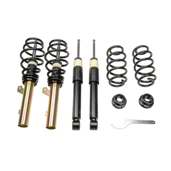 DTS SX Coilover Audi Seat Skoda 299100180