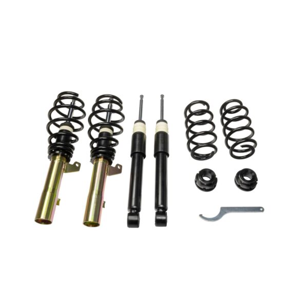 DTS Coilover Audi Seat 299100190
