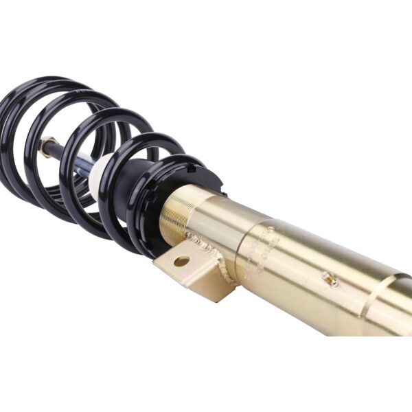 DTS SX Coilover BMW 299100240