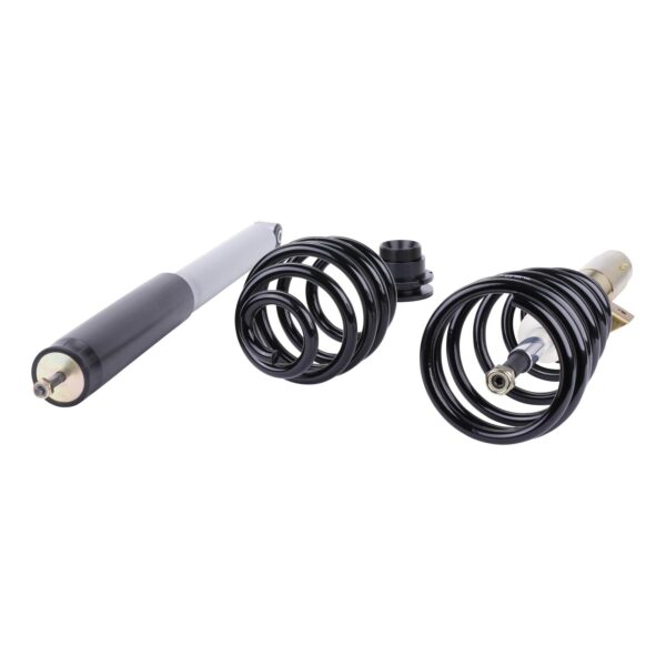 DTS SX Coilover BMW 299100240 - Image 4