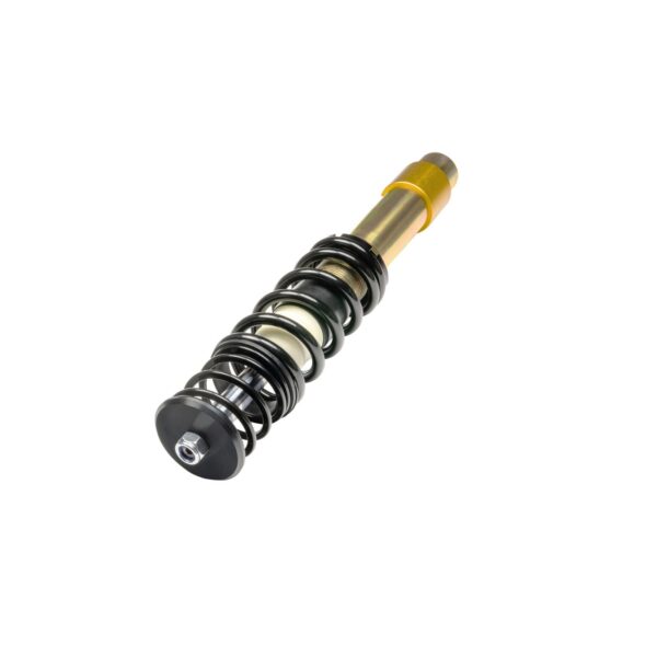 DTS SX Coilover BMW 299100350 - Image 3