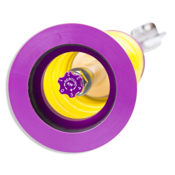 KW Coilover V3 Ford 35230059 - Image 4