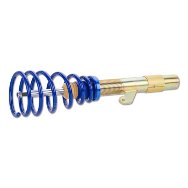 Coilover AP BMW GF20-110 - Image 3