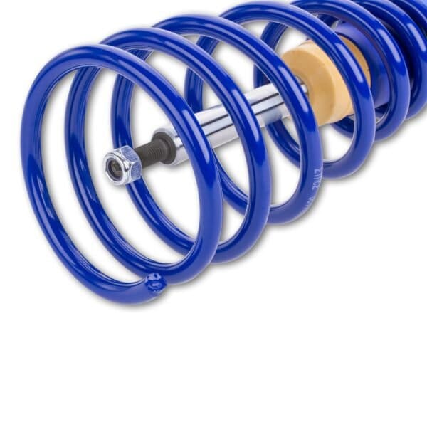 Coilover AP BMW GF20-110 - Image 5