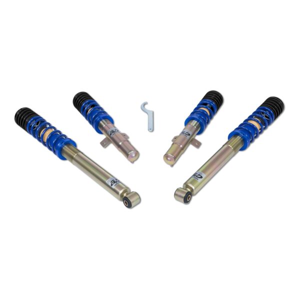 Coilover AP Ford GF30-011