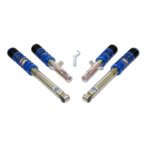 Coilover AP Ford GF30-013