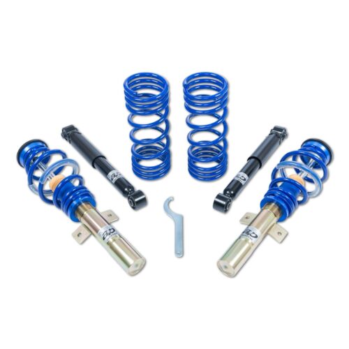 Coilover AP Ford GF30-015