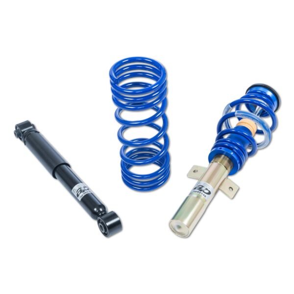 Coilover AP Ford GF30-015 - Image 2