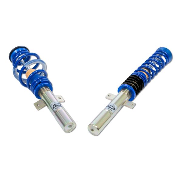 Coilover AP Ford GF30-016 - Image 2