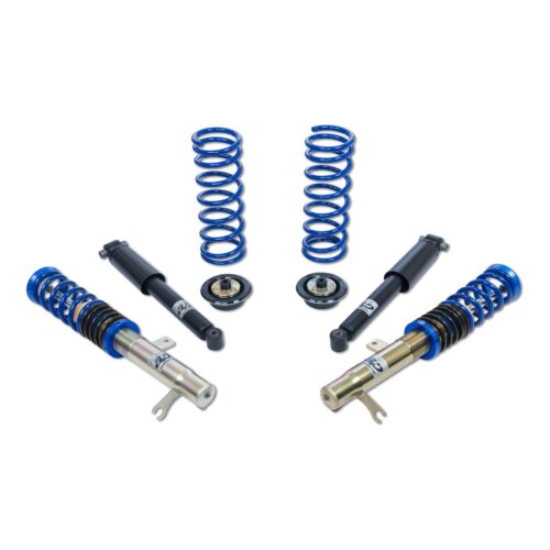 Coilover AP Ford GF30-017