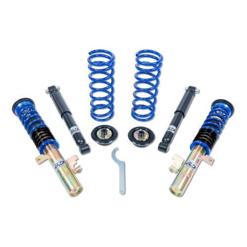 Coilover AP Ford GF30-022
