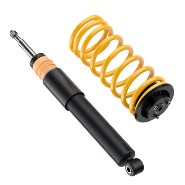 ST XA Coilover Ford 18230059 - Image 7