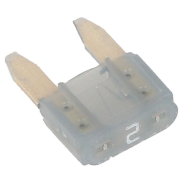MINI plug-In Blade Fuse 2A