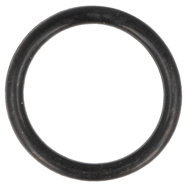 Viton O-Ring 16.3 X 2.2 Mm