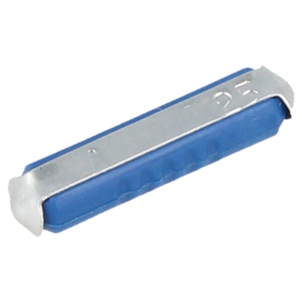 Ceramic Fuse 25A