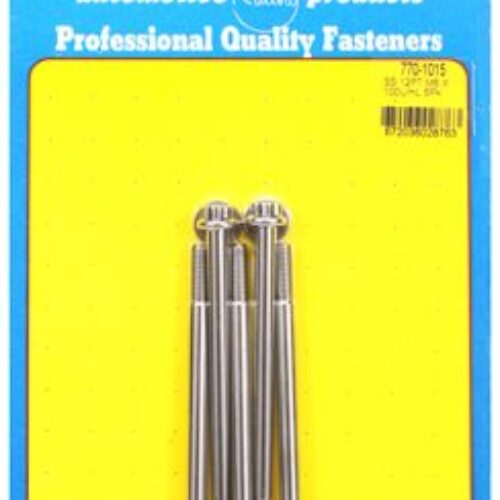 M6 X 1.00 X 100 12pt SS Bolts (5pcs)