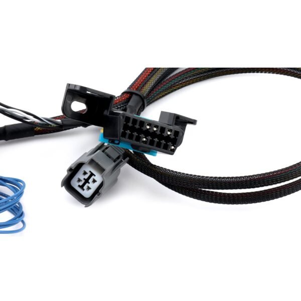 Hybrid Racing- K-Series Swap Conversion Wiring Harness (88-91 Civic/CRX) - Image 5