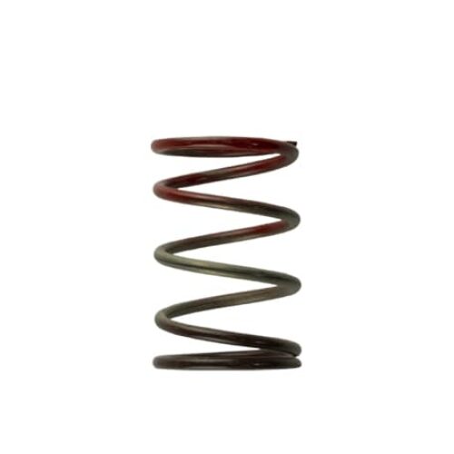 Gen4 / IWG WG38/40/45/50L 11PSI MIDDLE SPRING – BROWN/RED