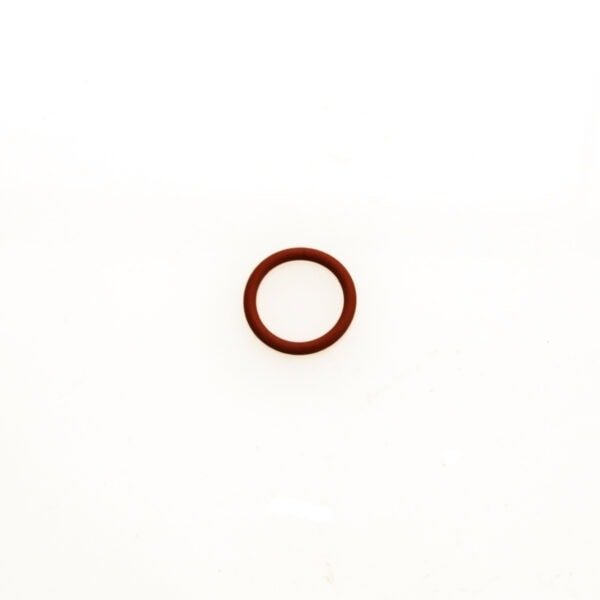 WG Valve Guide O Ring