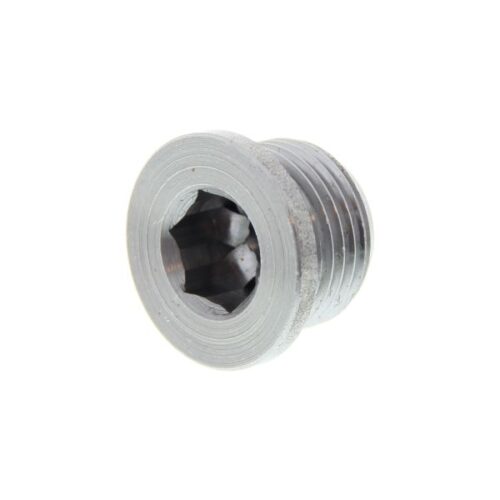 O2 Sensor Hole Bolt (Universal)