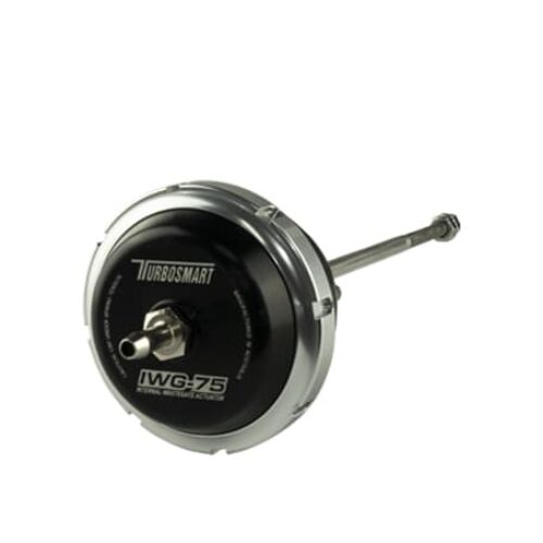 IWG75 TP BW B2 Single/Twin Scroll 14PSI