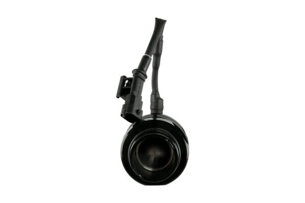 BOV EM F-150 - Image 4