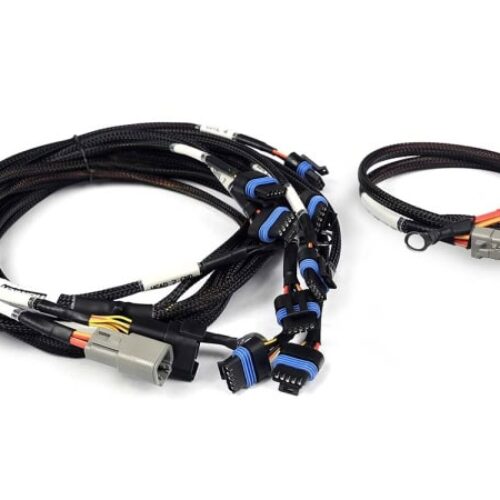 Haltech Nexus V8 IGN-1A Ford Harness