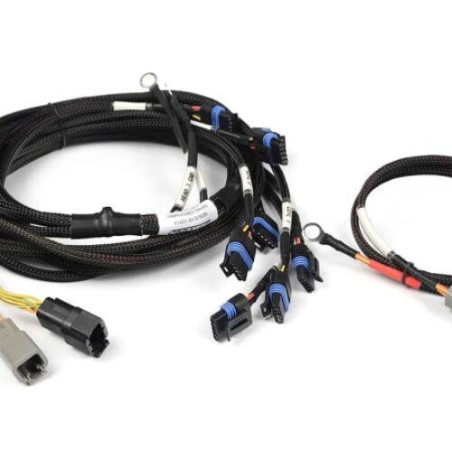 Haltech Nexus V8 IGN-1A GM/Chrysler Harness