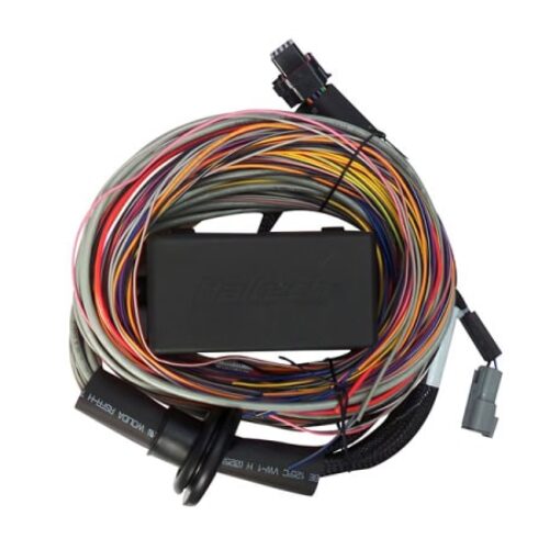 Haltech Elite 750 Premium Uni Wire-in Harness 2.5m (8′)