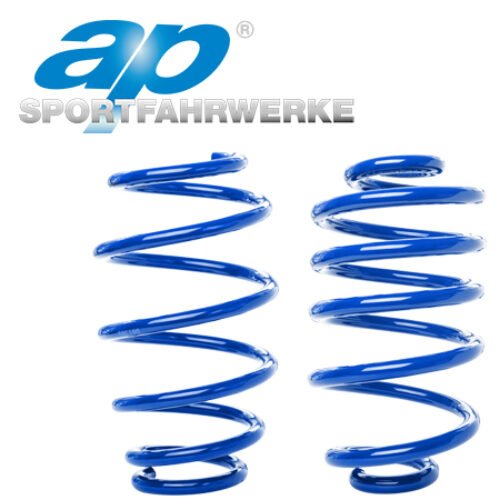 AP Sportfahrwerke 2.0i + 1.9DCi